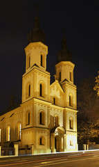 Fototapeta na wymiar Church of St. Peter and Paul in Bardejov. Slovakia