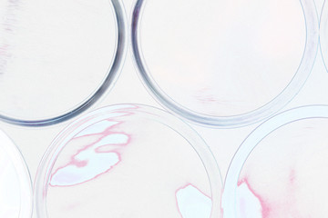 Reagenzgläser bunt von oben künstlerisch