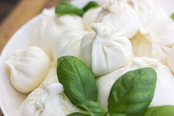 Fresh soft burrata cheese with basil. Many burrats on a plate