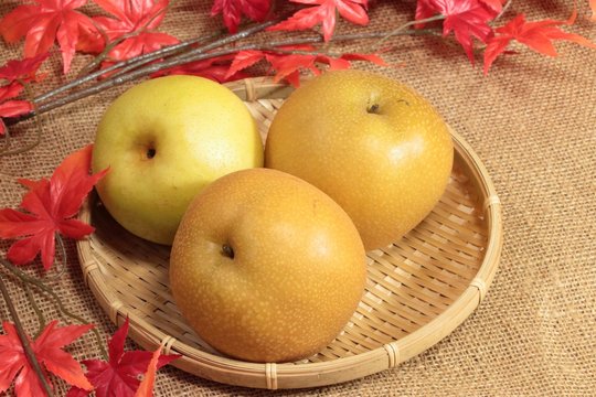 秋の果物、梨3個の盛り合わせ