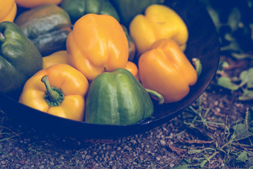 Fototapeta na wymiar Autumn peppers background 