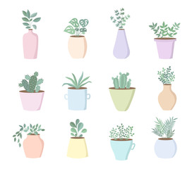 Fototapeta na wymiar Vector collection of cute house plants in flower pots