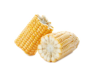 Tasty sweet corn cob on white background