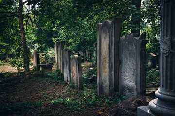 Historic Old Jewish cemetery in Wroclaw, Poland