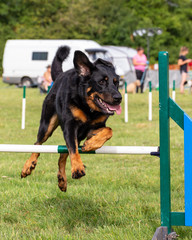 Agility show held at the Usk Show Ground on 21st and 22nd July 2018. Saturday competition held in overcast and some sunny conditions - Sunday held with sunny conditions.