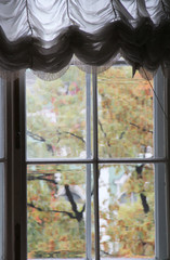 Window overlooking the autumn