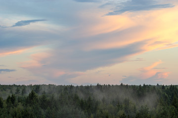 Fototapeta premium Clouds on sky on sunset over the foggy forest horizon in summer