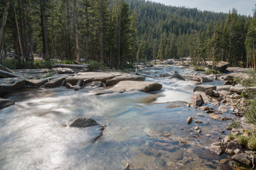 Flowing water and grass in the mountain backcountry of the Sierra Nevada in California