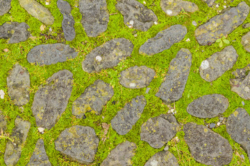 Stone Pattern Path
