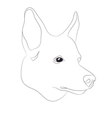 dog portrait, lines, vector