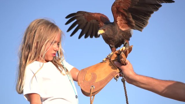 Blond girl blue eyes together hawk eagle.