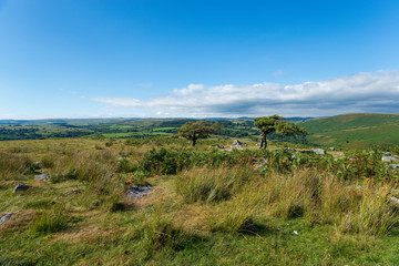 Fototapeta premium Coombestone in Devon