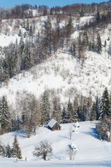 Huts in a snow-covered forest in the mountains in winter