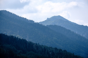 Obraz premium panoramic view of misty forest in western carpathian mountains. Tatra in foggy sunset