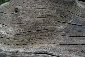 Country Grey Wood