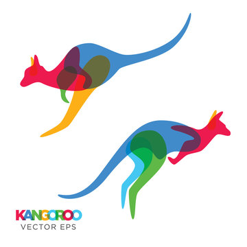 Creative Kangaroo Animal Design, Vector eps 10