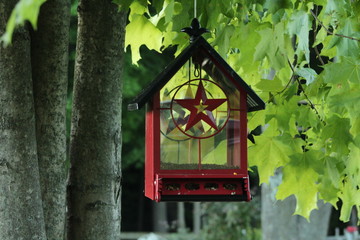 red and black birdhouse with a star in a tree on a sunny day