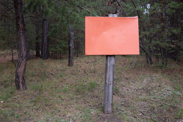 empty sign in the woods