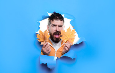Surprised or shocked man with dry autumn leaves in hands makes hole in paper. Season, nature,...