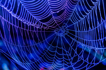 Abstract spider web pattern with blue and purple hues 