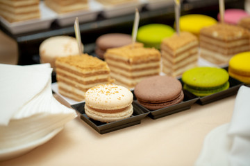 Close up of tray with lot delicious diversity pastry cakes tartlets and macaroon in a row. Fresh, multicoloured, colourful, green, yellow, white and pink sweet berry desserts