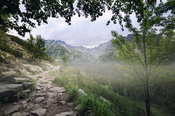 a picturesque mountain trail
