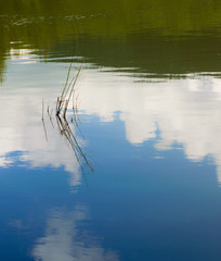Tranquility on a lake