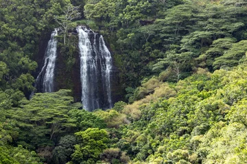 Foto op Plexiglas Lush tropical jungle landscape with tall waterfall on the island of Kauai, Hawaii © deberarr