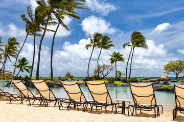 Tropical island paradise scene with row of chairs along a sandy beach with palm trees and ocean view