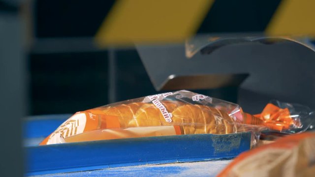 Automated machine seals packs with bread on a conveyor. 4K.