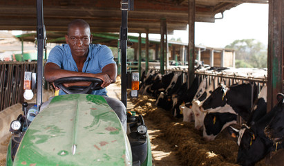 Dairy farm worker in tractor © JackF