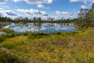 Reflecting clouds in the water