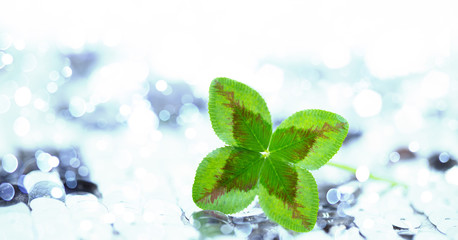green glover background