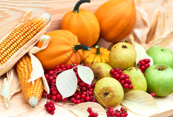 Autumn harvest: pumpkins, indian corn, red berries, pears, apples, fallen leaves on wooden background, copy space