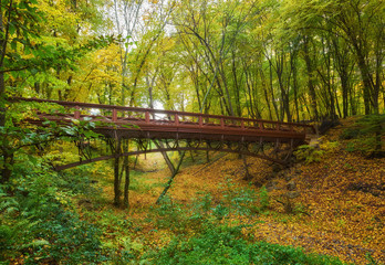 Beautiful wooden bridge in the forest. Colored leaves.