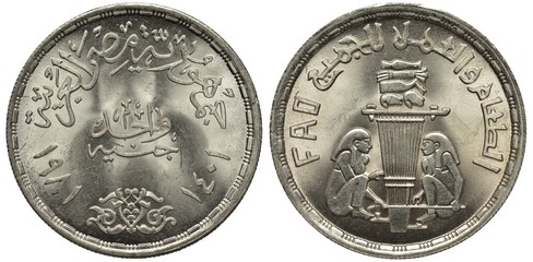 Egypt Egyptian silver coin 1 one pound 1981, country name, denomination and dates in Arabic, Subject F.A.O., ancient weaves at work, two figures flank design at center,  