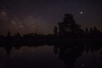 Reflection of stars and trees in the pond at night