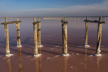 The weathered old posts for salt extraction with reflection in the pink salty lake Syvash, Ukraine