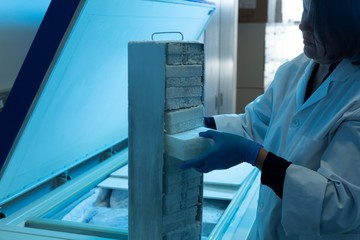 Female scientist removing ice cube