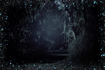 Abstract and magical image of Firefly flying in the night forest. Fairy tale concept.