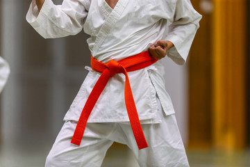 Karate Shotokan Kata © RobertNyholm