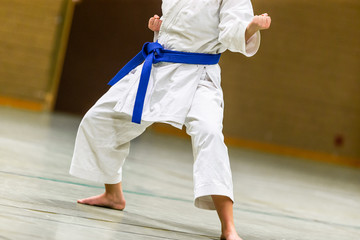 Karate Shotokan Kata © RobertNyholm