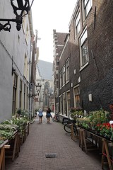 Obraz premium Blumenladen in Amsterdam