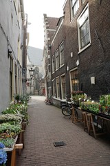 Fototapeta na wymiar Strasse in Amsterdam im Sommer 