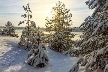 Fototapeta na wymiar Winter park in snow in sunny day