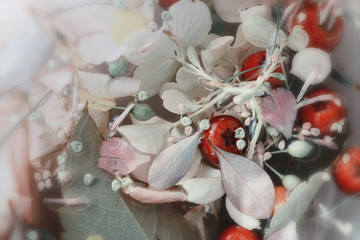 White petals and red berries still life