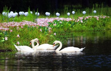 Beautiful summer and wildlife nature background. Landscape in green colors with group of beautiful...