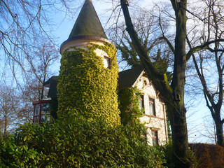 Torre ricoperta di edera