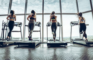 Four attractive young sports women is working out in gym.