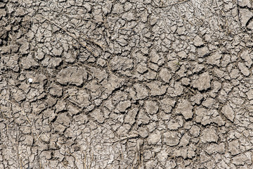 A lifeless land, craquelure